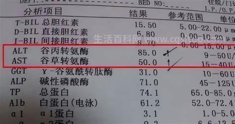 谷丙转氨酶正常范围一般为多少