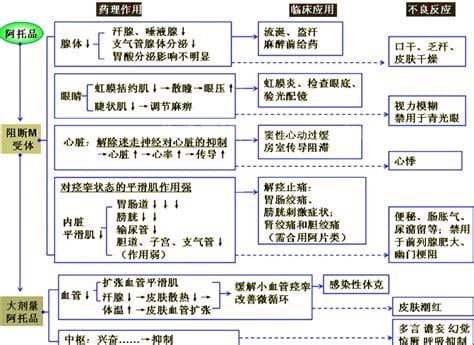 阿托品的药理作用