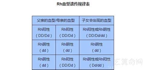 熊猫血是什么血型