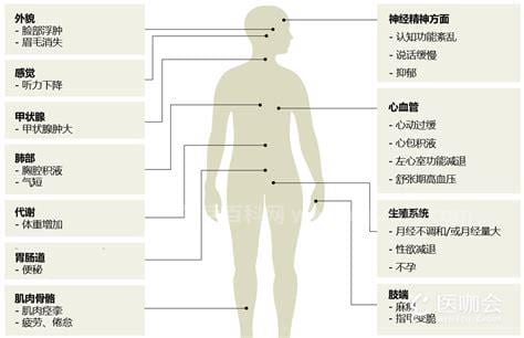 甲减的症状与危害