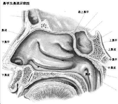 空鼻症有多痛苦