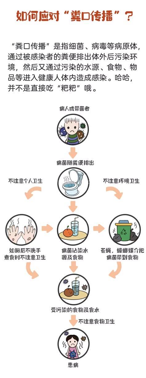 粪口传播什么意思