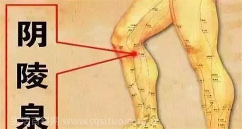 阴陵泉的作用与功效