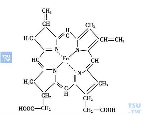 血红素是什么