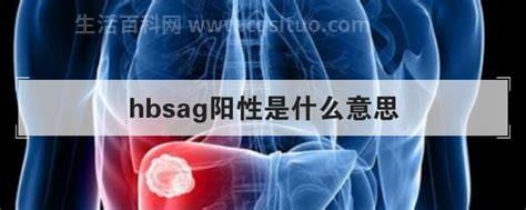 hbsag阳性是什么意思