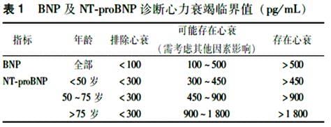 bnp正常值