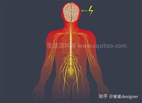 交感神经紊乱的症状