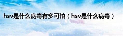 HSV病毒是什么意思