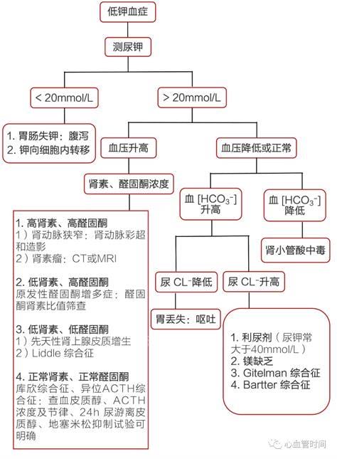 低钾血症产生的原因是什么