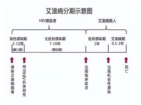 艾滋病潜伏期又称什么