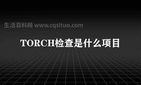 torch检查什么项目