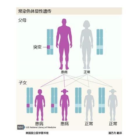 PKU是什么遗传病