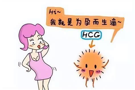 孕酮正常值是多少