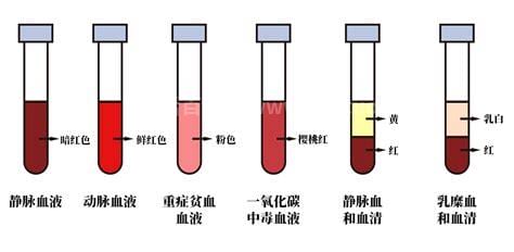 正常状态下血液呈什么颜色