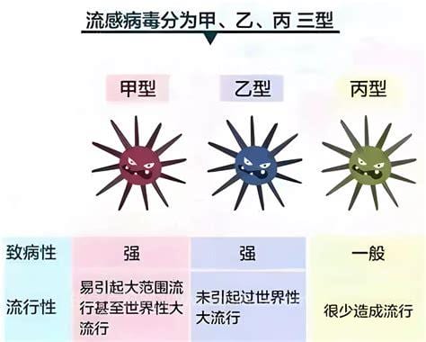 如何确定自己得了甲流