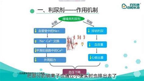 袢利尿剂作用机制是什么