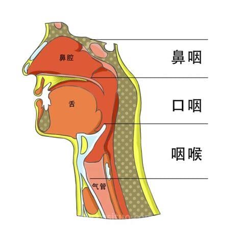 喉咙有异物感怎么消除