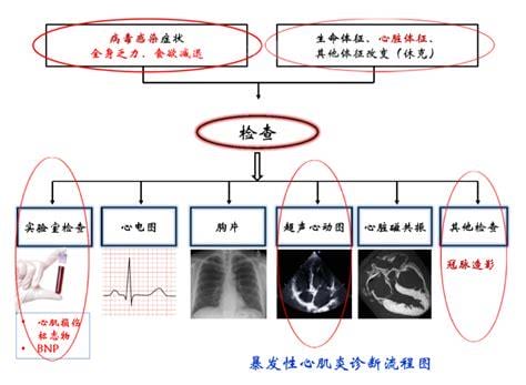 急性重症心肌炎的诊断标准