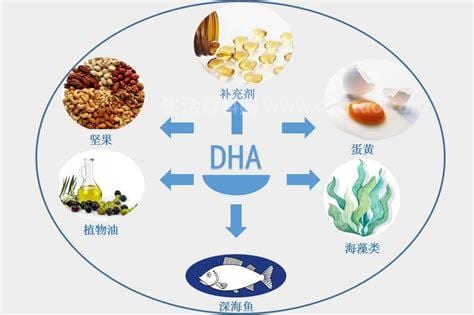 dha的作用与功效