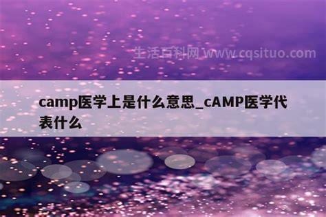 CAMP在医学是什么意思