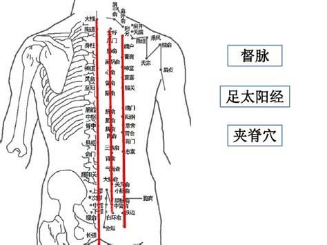 腧穴的位置与主治是什么