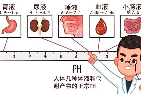 酸性体质的特征