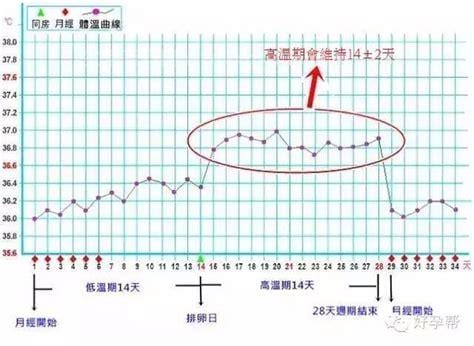 怀孕后的基础体温是多少度