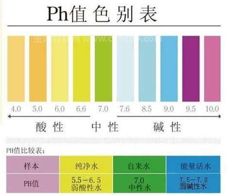 ph值偏低是什么意思