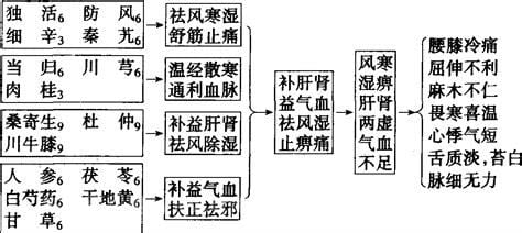 独活寄生汤的功效与作用