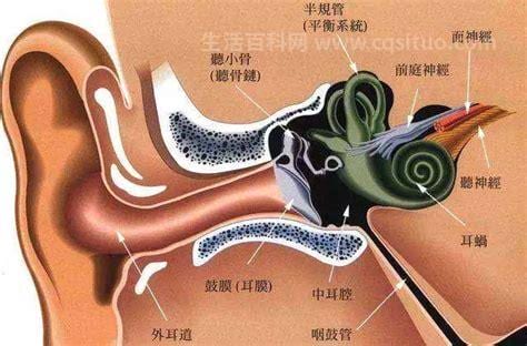 耳膜破了会聋吗