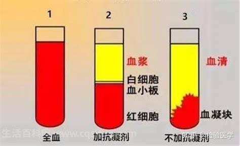 血浆是什么