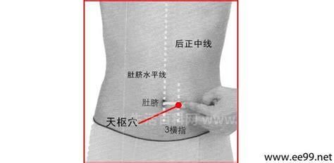 天枢穴的位置在哪里