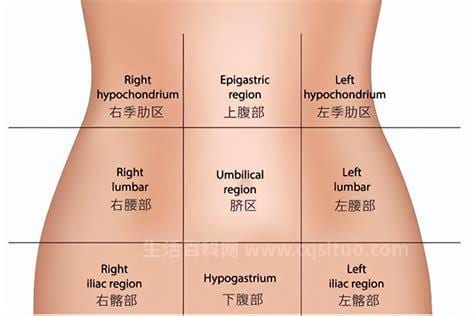 胃疼痛一般在哪个部位