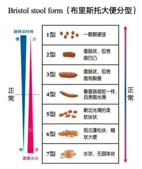 大便干燥吃什么好排便