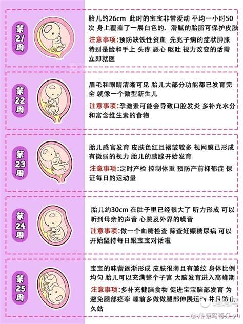 胎教从几个月开始最好