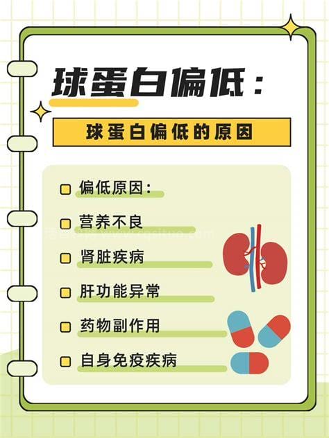 球蛋白偏低的原因