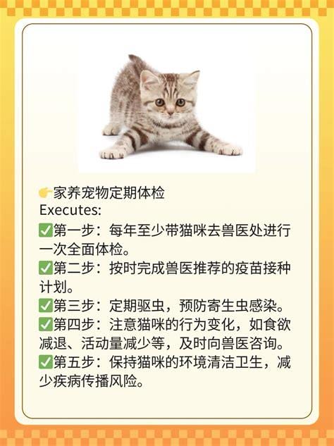 猫挠出血不打针有事吗