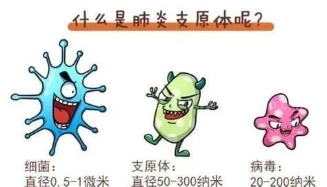 支原体感染是什么