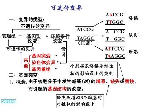 什么是基因突变