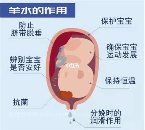 羊水少怎么最快补上来