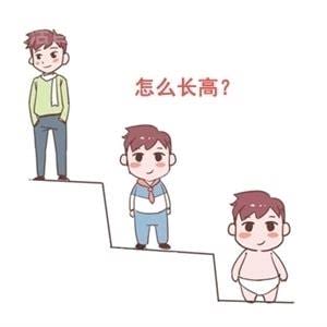 青少年如何快速长高