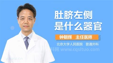 肚脐眼左侧是什么器官