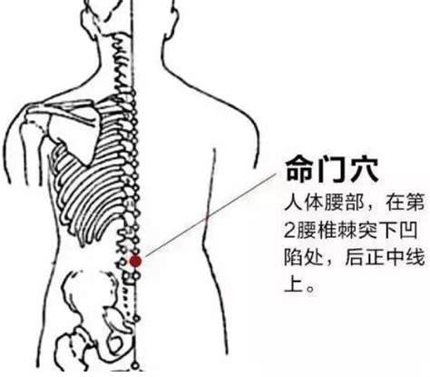 艾灸命门的功效与作用、禁忌