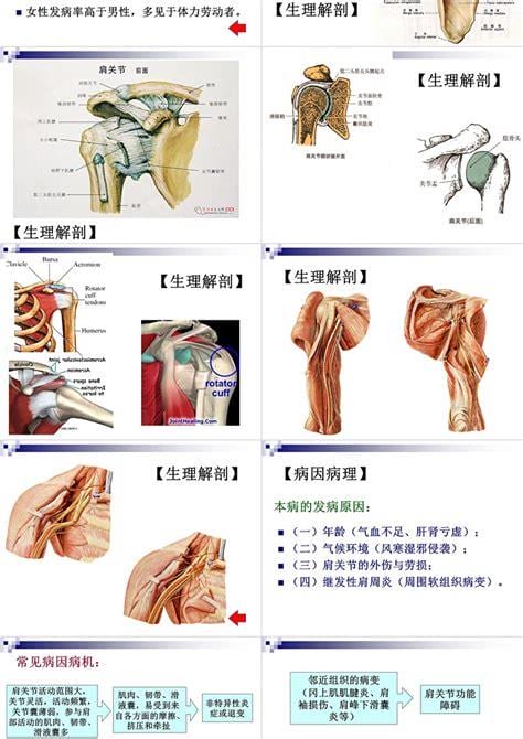 肩周炎的特征