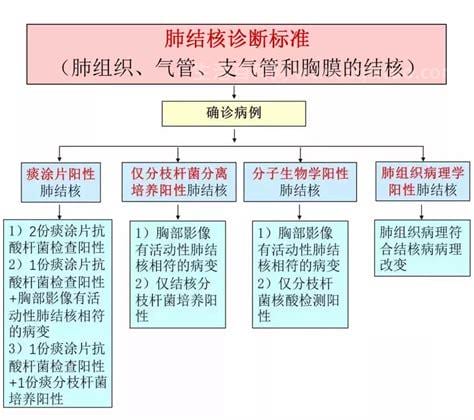 肺结核的诊断方法有哪些