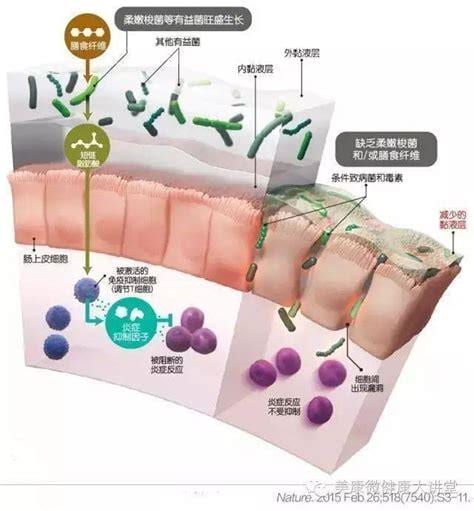 肠道致病菌有哪些