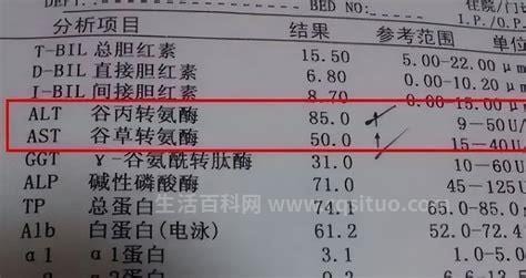 转氨酶高是什么原因造成的