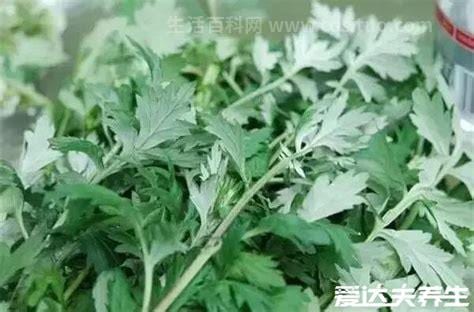 房间熏艾草的危害