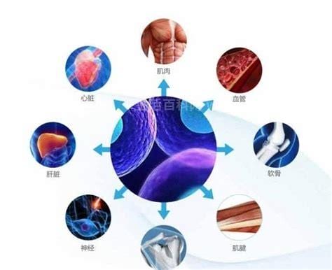 新陈代谢快的表现是什么