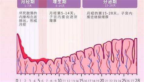 子宫内膜厚不刮宫行吗